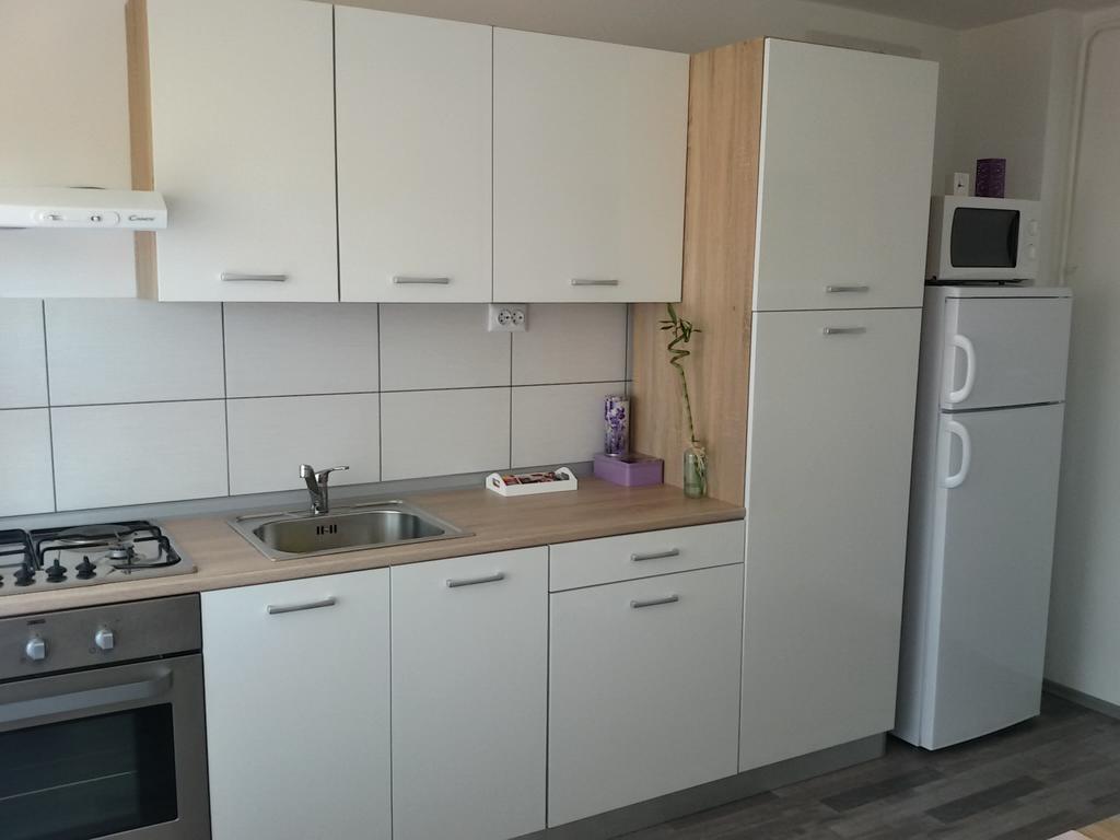 Studio Apartman Toplica Daruvar Zewnętrze zdjęcie